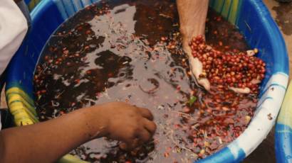 5. Lavage - flottaison