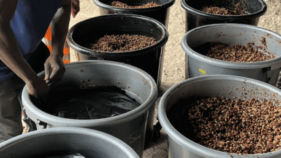 7. Fermentation anaérobe